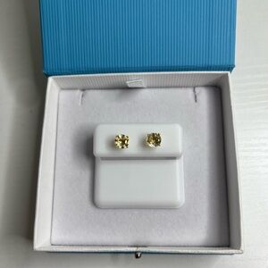 925 Earrings with Gold Finish